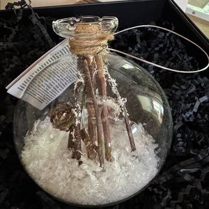 NWT - Glass Ornament with Snow and Twigs